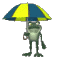 Sunny England - Fred the frog with an umbrella in the rain.