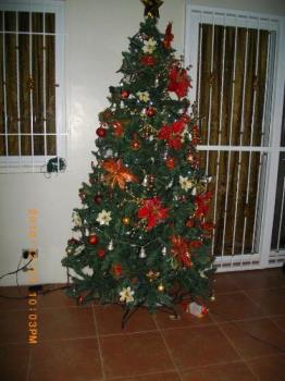 Christmas tree last 2010 - taken on New Year&#039;s eve...