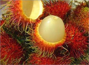 Rambutan is sweet and juicy. It is good if we can  - Rambutan is sweet and juicy. It is good if we can also make jam out of it.