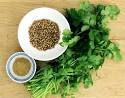 coriander - Coriander (Coriandrum sativum), also known as cilantro, Chinese parsley or dhania, is an annual herb in the family Apiaceae.