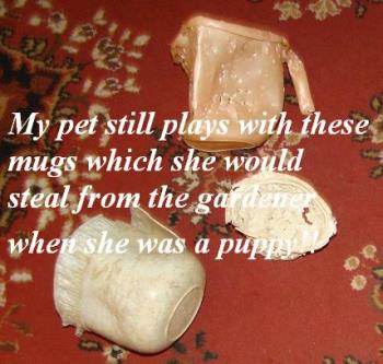 Our pet Preiti&#039;s toys when she was little - She would steal these mugs from the gardener and play with them. 