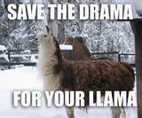 The drama llama - It has arrived.