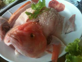 Raw Fish - no.. It is not what you are thinking. True that this fish is still raw however, we will still cook this in a boiling soup in front of us together with other raw, vegetables, eggs, pork, and chicken, and sea foods.
hmmm yummmmmmmmmmmmmy Raw Fish - no.. It is not what you are thinking. True that this fish is still raw however, we will still cook this in a boiling soup in front of us together with other raw, vegetables, eggs, pork, and chicken, and sea foods.
hmmm yummmmmmmmmmmmmy