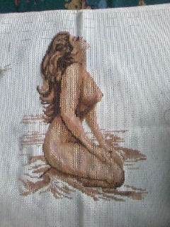 the nude cros stitch -  This is what I had just finished recently. It has six shades of brown.