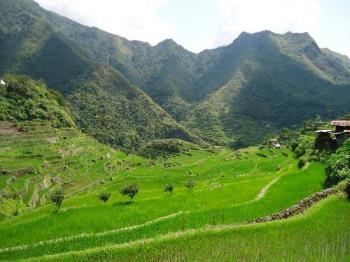 batad village and rice terraces  - one of the largest rice terraces patch in the philippines
