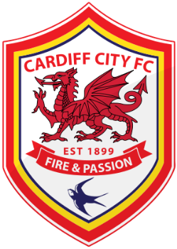 Cardiff City have succeeded in getting into the En - Cardiff City have succeeded in getting into the English Premier League.