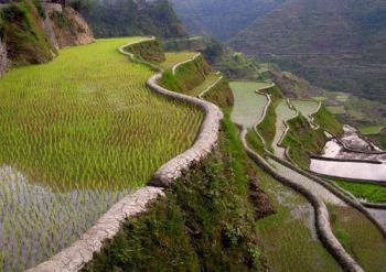 Terraces - It is unique of the Philippines to have terraces. I wish I could have a chance to visit this beautiful country.