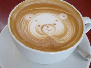 Teddy Latte - Have a cup of latte?
