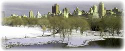 Snow in New York - Snow in New York!!
