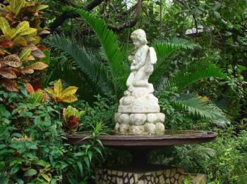 birdbath birdbath