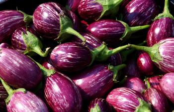 https://commons.wikimedia.org/wiki/Category:Purple_textures#/media/File:Eggplants.jpg