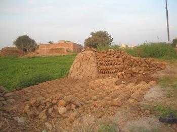 cow dung cakes credit https://commons.wikimedia.org/wiki/File:Cow_dung_cakes_and_heap_set_out_for_drying.JPG cow dung cakes credit https://commons.wikimedia.org/wiki/File:Cow_dung_cakes_and_heap_set_out_for_drying.JPG