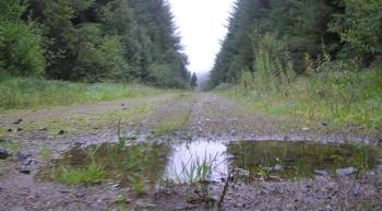puddle puddle
