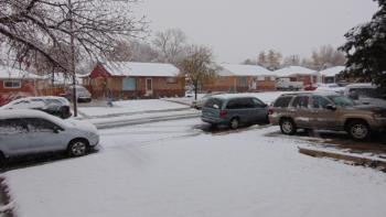 Snow, Snow,