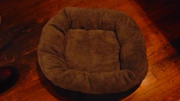 cat bed,