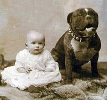 Nanny dog, circa 1892
