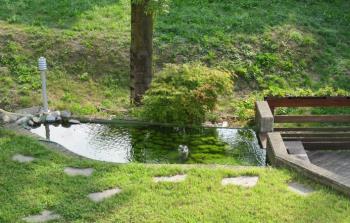 Anna Pond in Summer Anna Pond in Summer