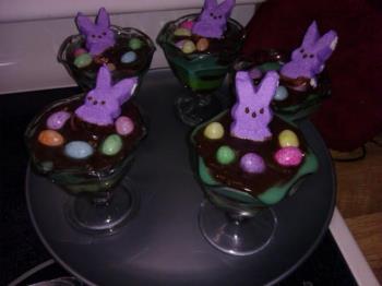 The dessert my niece made The dessert my niece made