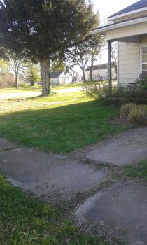 One side of the yard right after mowing. Picture is mine.