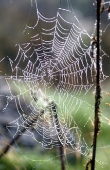 Do we make our own web, but who provided the materials? Does our web then control us?