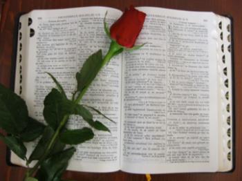 A lot of these great sayings have their roots within the Christian bible!