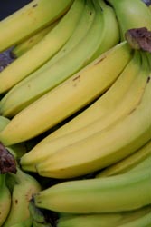 fruit - bananas