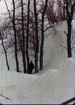 Blizzard of 1977, winter along the lakeshore
