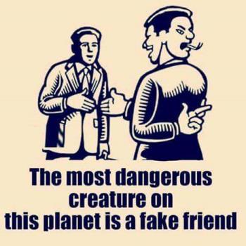 Fake friends 