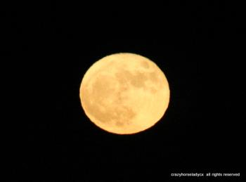 supermoon 2016 ~ crazyhorseladycx all rights reserved supermoon 2016 ~ crazyhorseladycx all rights reserved