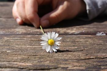 Who is twirling your life for you, fate, faith, or destiny? Who is twirling your life for you, fate, faith, or destiny?