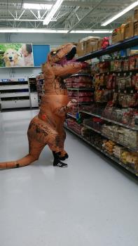 T-rex in Walmart. Picture is mine.