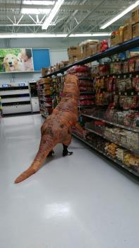 T-rex in Walmart. Photo is mine.