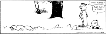 Calvin and Hobbes - Snow Sharks