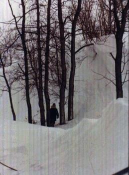 Blizzard of '77 Blizzard of '77