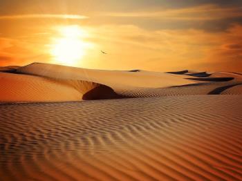 Gods son even shines in our desert Gods son even shines in our desert