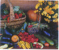 Bountiful Harvest - Good fruits and vegetables to eat