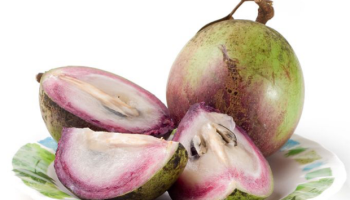 star apple fruit star apple fruit