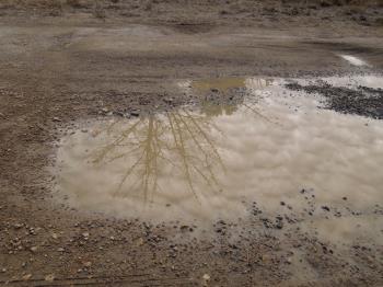 Puddle Reflection Puddle Reflection