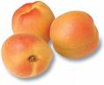 apricot - in italian is called albicocca