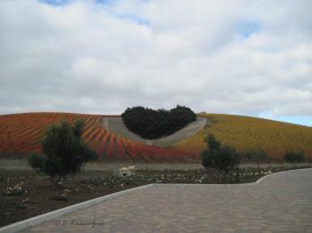 Heart Hill in Autumn