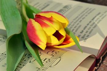 A song is like a flower, it brings such freshness of spirit to the viewer, or to the listener.