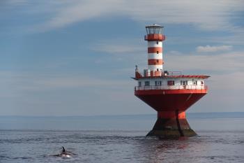 There is no reason why we cannot have a whale of a time here, but we should never forget the guy in the lighthouse, looking over it all either There is no reason why we cannot have a whale of a time here, but we should never forget the guy in the lighthouse, looking over it all either