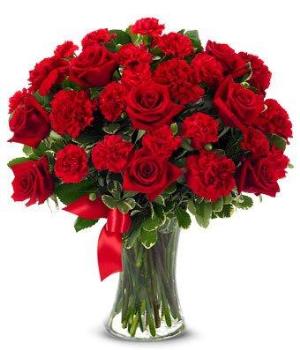 https://www.fromyouflowers.com/flower/send-red-carnations