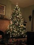Tree - Christmas Tree