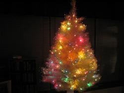Christmas tree - This is a white fiber optic tree - very pretty!