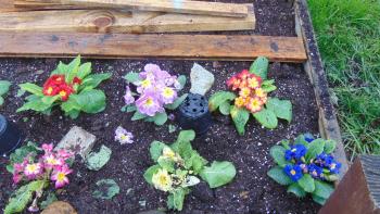 Our flowers. Our flowers.