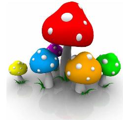 mushrooms - colorful mushrooms