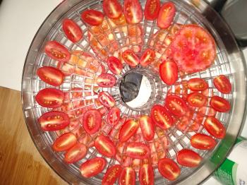 Cherry tomatoes drying. Photo is mine.