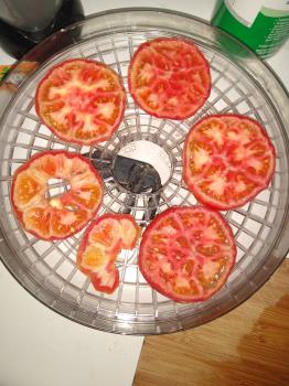 Drying tomatoes. Photo is mine.
