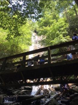 Mingo Falls from below the bridge. Photo taken by and the property of FourWalls. Mingo Falls from below the bridge. Photo taken by and the property of FourWalls.